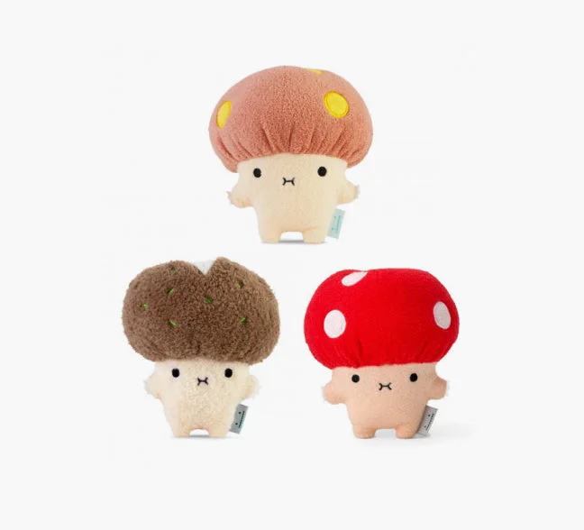 The Mushroom Collection